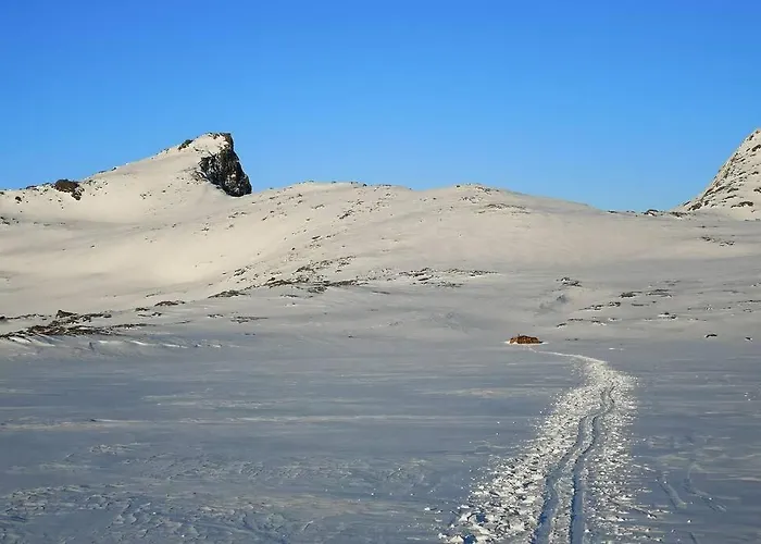 Akselhuset-Koselig Hus Rett Ovenfor Kaikanten Midt I Lofoten