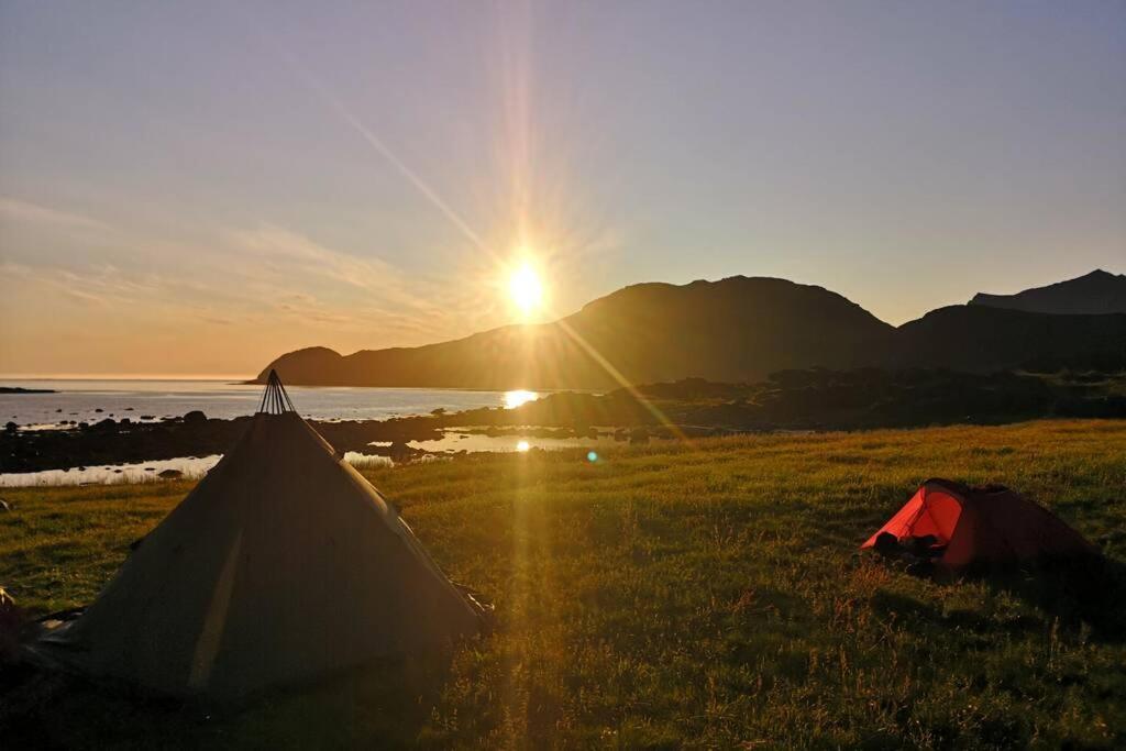 Akselhuset-koselig Hus Rett Ovenfor Kaikanten Midt I Lofoten