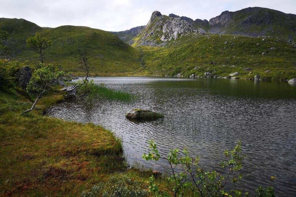 Akselhuset-koselig Hus Rett Ovenfor Kaikanten Midt I Lofoten Casa vacanze