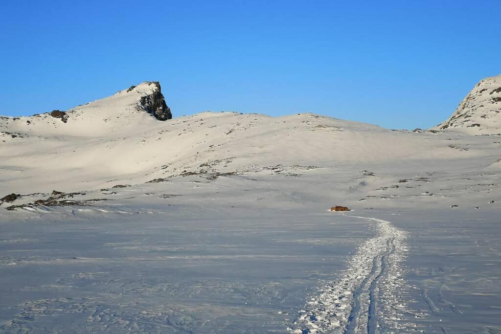 Akselhuset-koselig Hus Rett Ovenfor Kaikanten Midt I Lofoten * Sennesvik